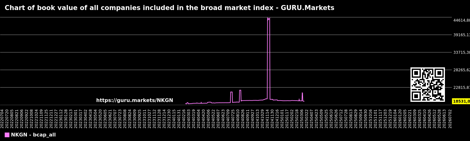 Chart of book value of all companies included in the broad market index - GURU.Markets